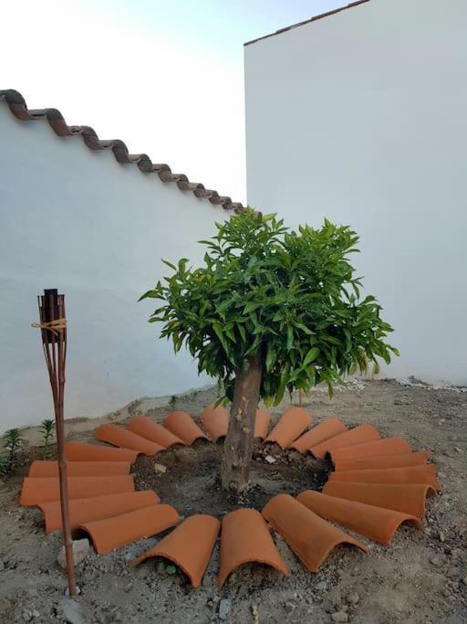 Villa Casa Da Enxota Povoa de Sao Miguel Exterior foto